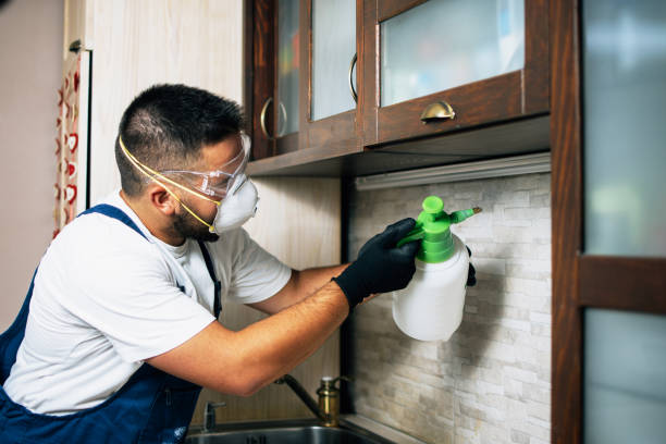 Best Exterminator Services  in Hudson, FL