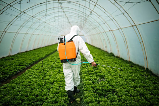 Best Local Pest Control Services  in Hudson, FL