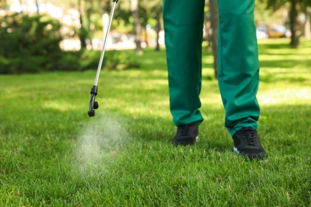 Reliable Hudson, FL Pest Control Solutions