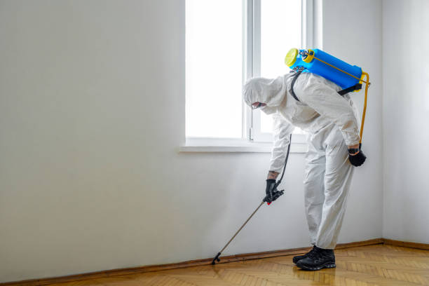 Best Best Pest Control Companies  in Hudson, FL