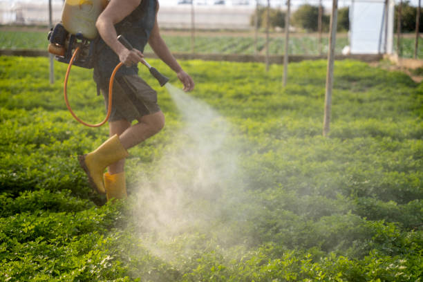Best Mosquito Control Services  in Hudson, FL