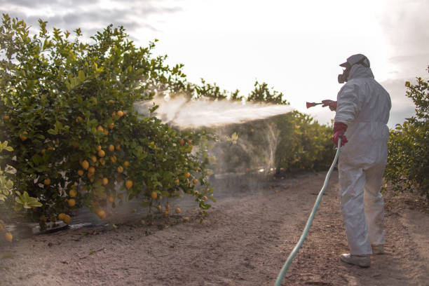 Best Bed Bug Extermination  in Hudson, FL