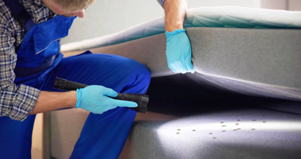 Pest Control Cost in Hudson, FL