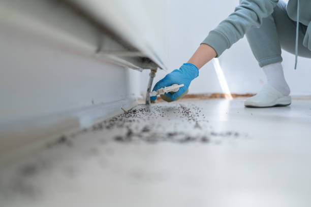 Best Pest Removal Services  in Hudson, FL